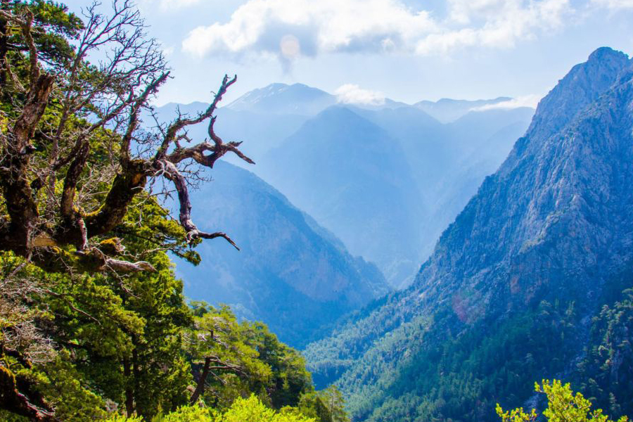 NATURAL LANDSCAPES